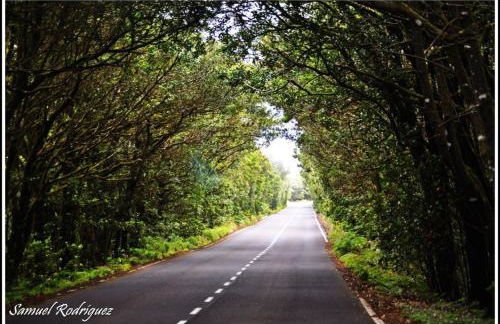 Casas Rurales El Serrillal - Foto 43