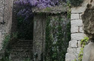 Gite des Gorges de l'Ardèche - Foto 14