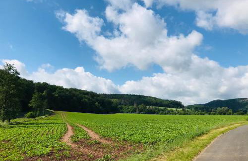 Rittergut Kleinvach - Foto 16