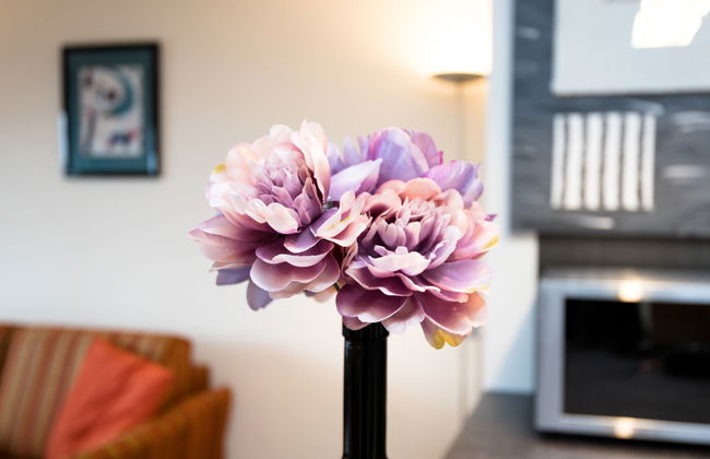 Morgensonne B1105 - Foto 11