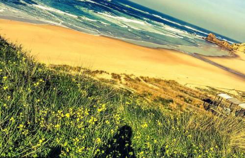 Golden Stone Beach Retreat - Foto 20