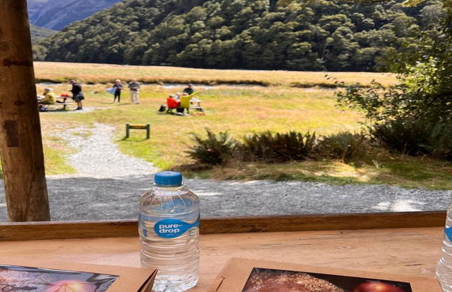 Der Routeburn Track - Geführter Ganztages-Wanderung - Foto 6