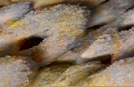 Tenuta Cavalieri - Foto 29