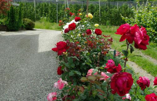 Haus Sonnegg - Foto 5