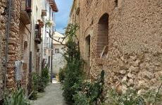 Puccio's Little House - Foto 11