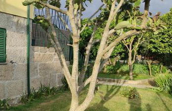 Casa dos avós - Foto 25