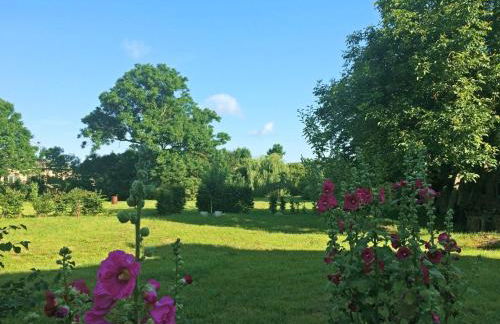Storchenhaus Abbendorf - mit Badestelle im Dorf - Foto 15