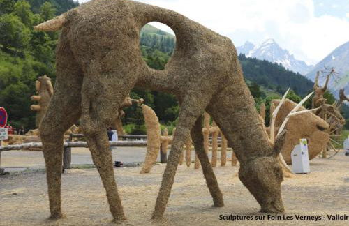 Triplex 4 pièces, mezzanine, 8 pers, Sud, wifi, animaux, parking - FR-1-263-178 - Foto 13