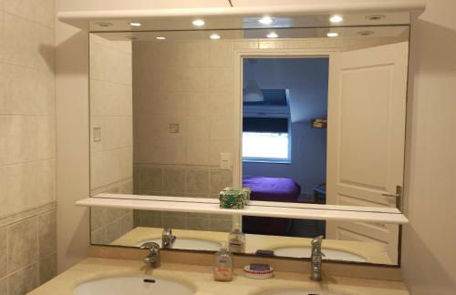 Brocéliande calme breton, spa, wifi, amazon-disney tv, 4 lits, Freebox revolution,draps, café, thé - Foto 8