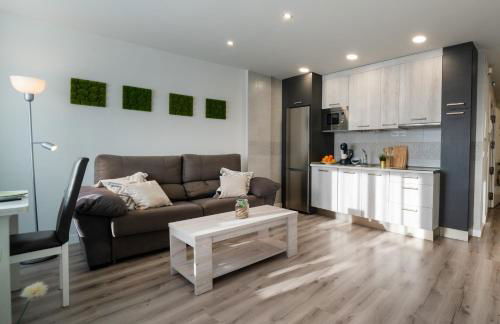 Apartamentos Aranda - Photo 12