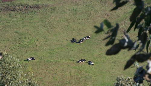 Apartamentos Rurales Obaya - Foto 4