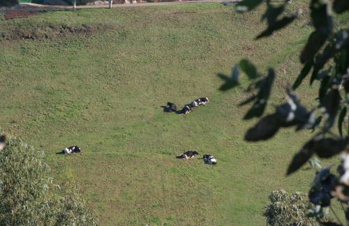 Apartamentos Rurales Obaya - Foto 4