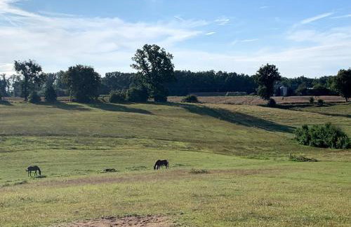 Toskania Kociewska - Photo 60