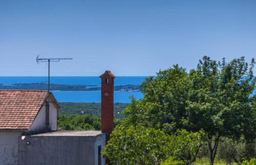 Villa Paulina -an authentic sense of Istrian life - Photo 49