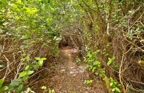 Sandpiper Shores - Foto 32