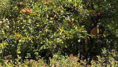 Am Himmelreich - Foto 5