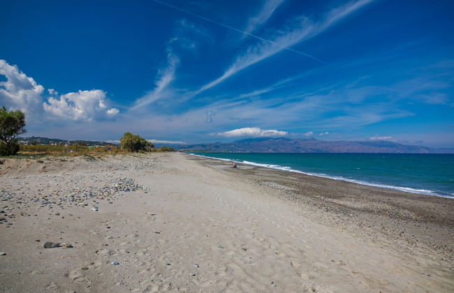 The Olive House - Photo 12