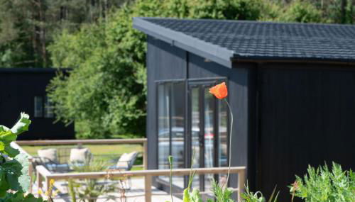 Galwad y Môr - Foto 2