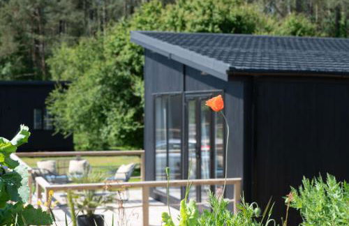 Galwad y Môr - Foto 2