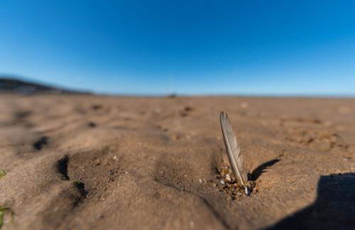 Upper Instow Beach Cottage - Foto 19
