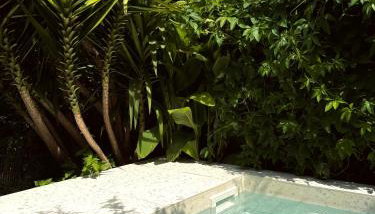 Casa Dvornik - Foto 2