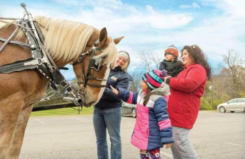 Family Water Park Resort 2BD Condo ready for your family - Foto 32