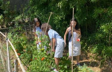 DOLCE VITA IN TUSCANY Cottage - Foto 60