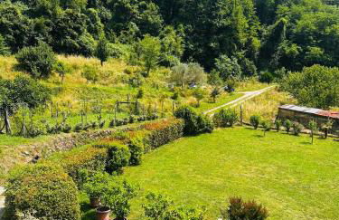 Sole di Bagnone - Photo 27