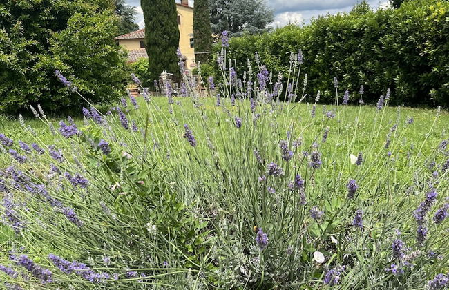 Ristorante Agriturismo La Palma - Foto 30