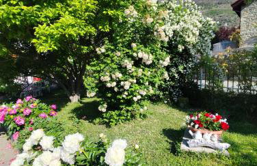 VILLA ADRY Aosta Sarre Your freedom - Foto 50