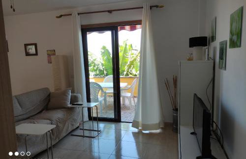 Palma Tellus - Foto 1