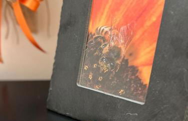 Agriturismo Cascina Capo - Foto 24