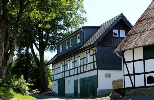 Xavers Ranch - Foto 66