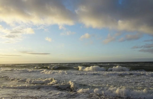 4 Person Holiday Home in Graested - Foto 46