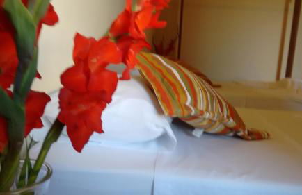 Pousada Jambo - Foto 1