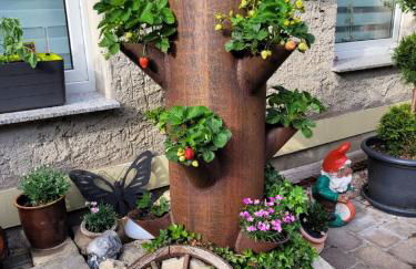 Ferienwohnung Domblick - Foto 12