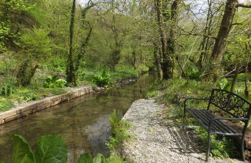 Kingfisher - Foto 20