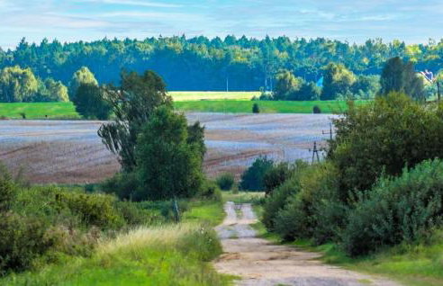 Lovely Home In Dmuchowo - Foto 10