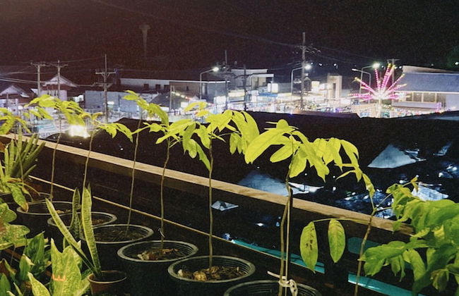 The Atnal Lanta - Foto 49