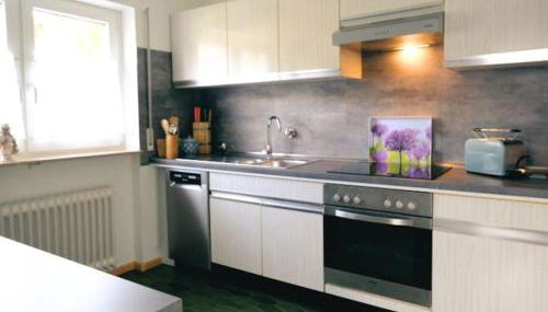 FeWo am Nimberg - Foto 5, stove, dishwasher
