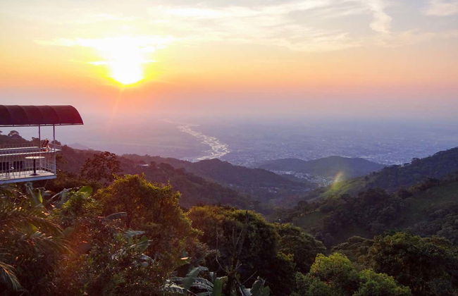 Birdwatching in Villavicencio - Photo 5