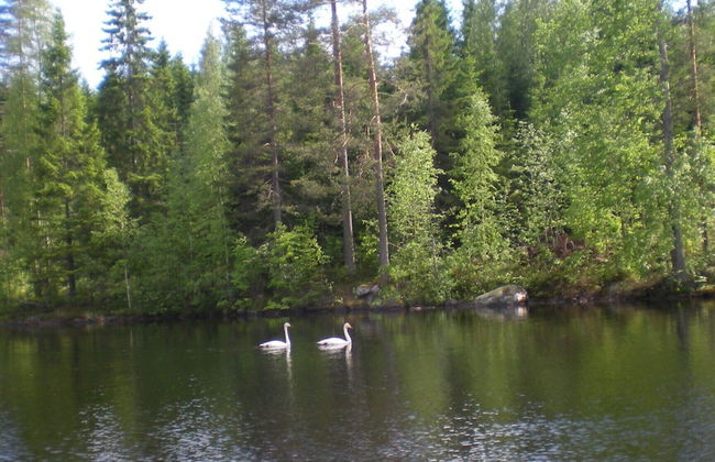 Kärkiniemi - Foto 27