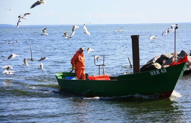 Waldhaus No.15 Modern Retreat - Foto 10