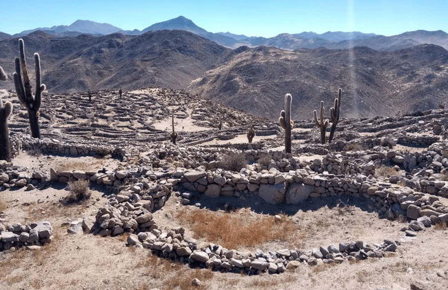 Day Trip to Quebrada del Toro + Santa Rosa de Tastil - Photo 6