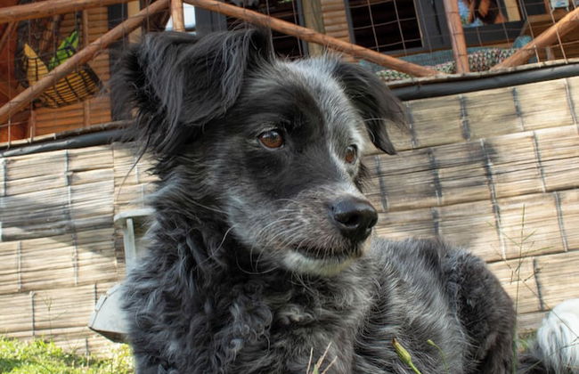 Wasikuna cabañas rurales tipo glamping - Foto 75