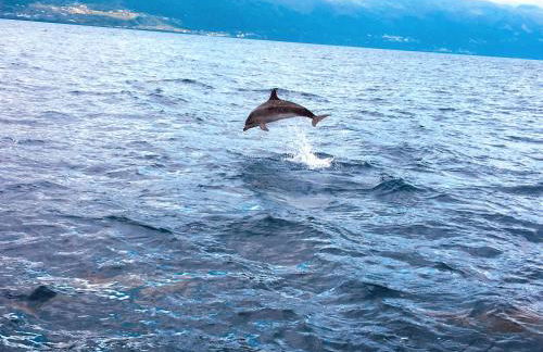 Casa do Almance - Photo 39
