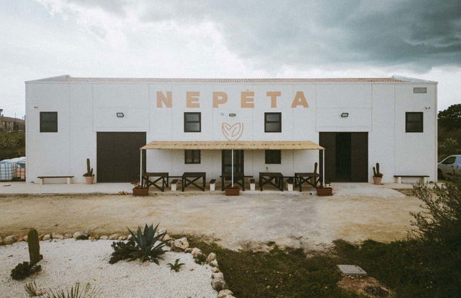 Visite de la distillerie Casa Nepeta - Photo 6