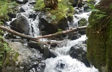 10-Bett Ferienwohnung Sonnenblume - Foto 26