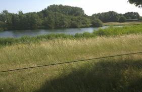 LandOase Buchhorst - Photo 26