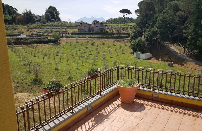 Agriturismo Podere Montese - Foto 66